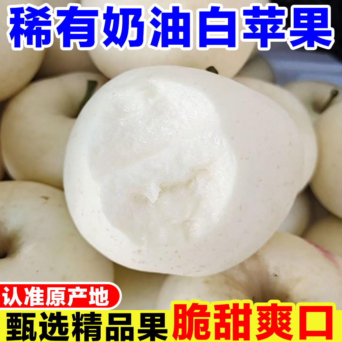 山东奶油白苹果新鲜当季水果现摘黄金奶油富士苹果黄白色牛奶苹果