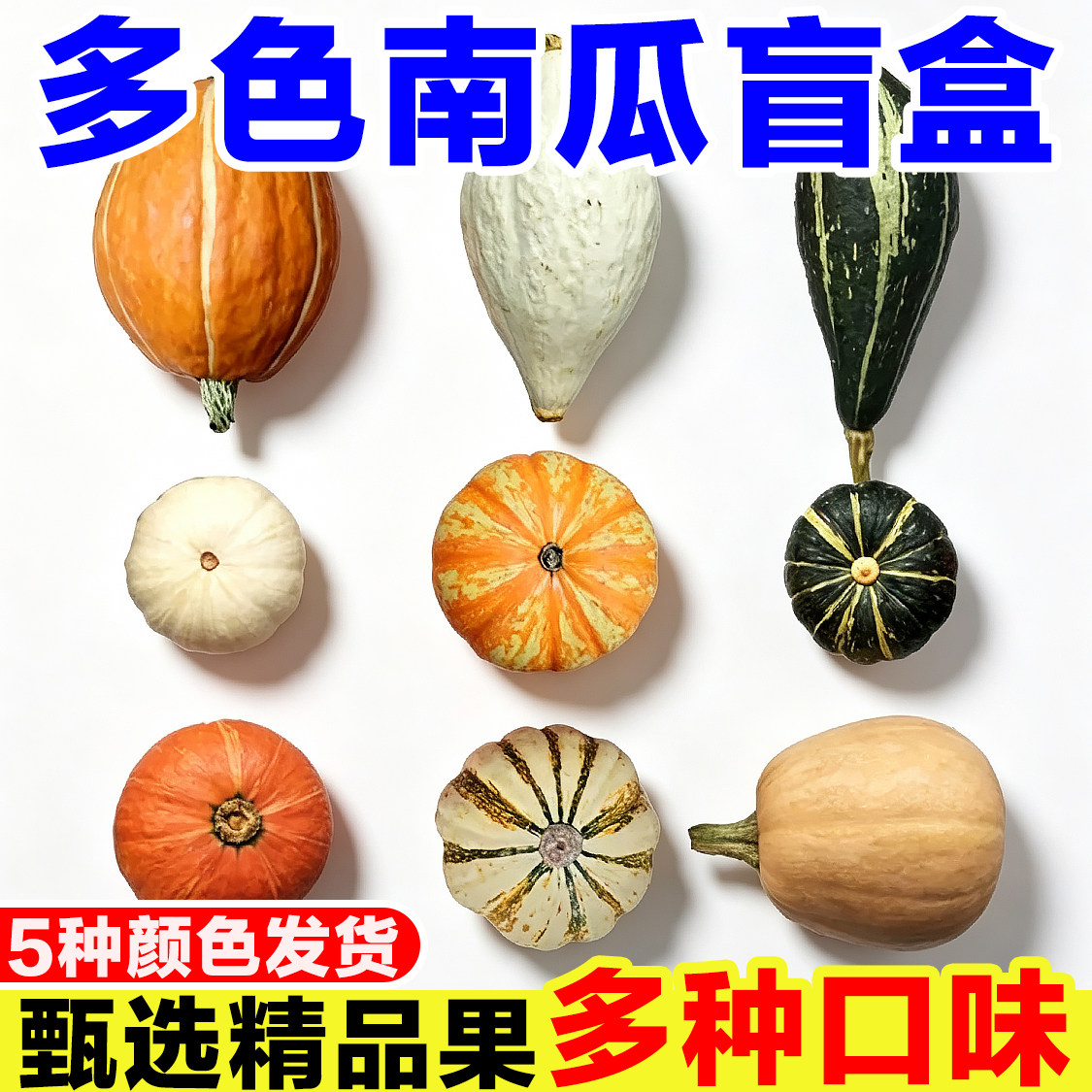 多色贝贝南瓜正宗奶油贝贝南瓜金贝贝桔瓜榴莲南瓜组合装南瓜盲盒