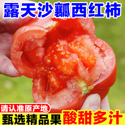 云南露天沙瓤西红柿新鲜当季现摘农家自然熟可生吃番茄非普罗旺斯