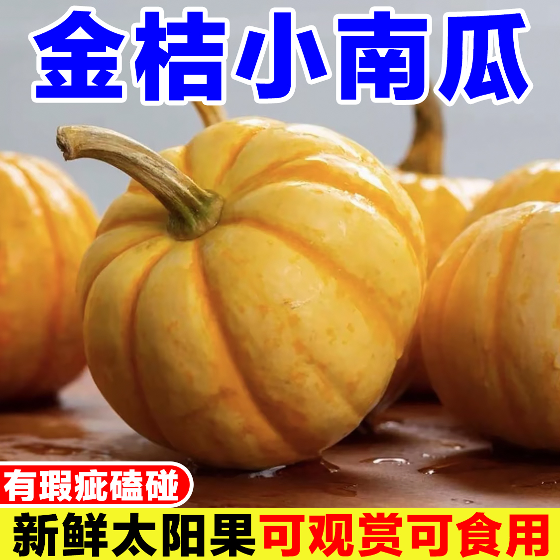 迷你桔瓜太阳果小南瓜贝贝小金瓜万圣节灯笼南瓜盅雕刻装饰瑕疵果