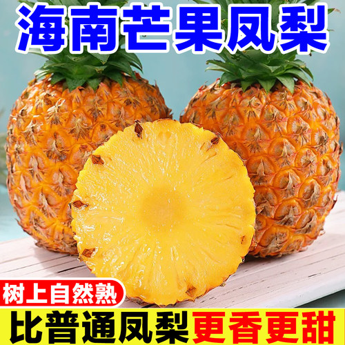 正宗海南芒果凤梨新鲜菠萝台农23号金钻凤梨手撕大果当季孕妇水果
