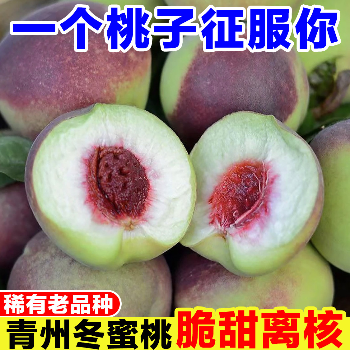山东青州蜜桃青皮桃子当季现摘脆桃新鲜冬桃甜桃蜜桃毛桃孕妇水果