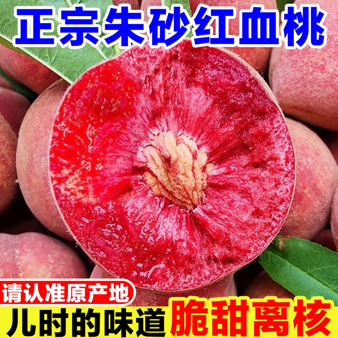 正宗朱砂红血桃新鲜红肉桃子当季孕妇水果现摘水蜜桃桐柏红心毛桃
