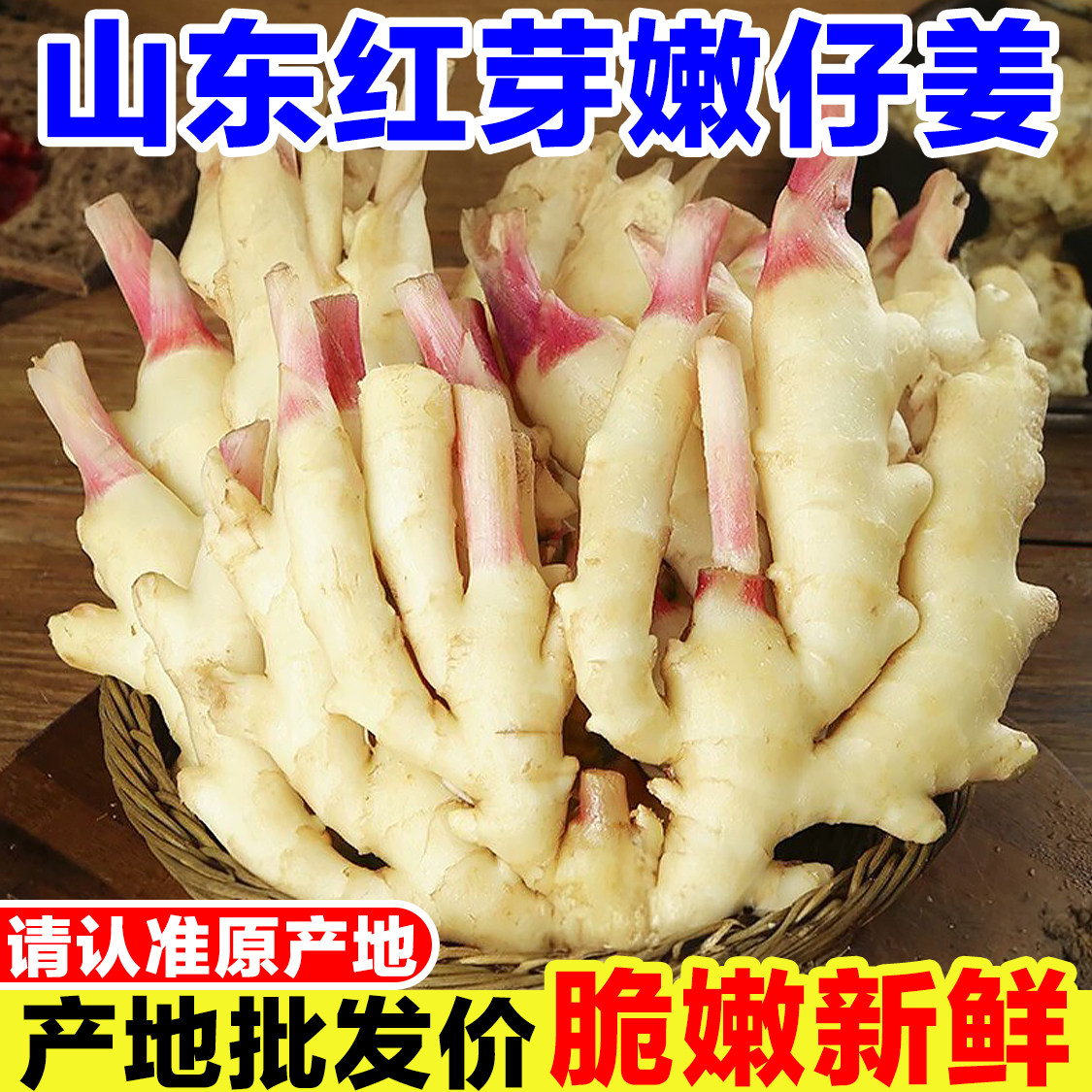 山东红芽嫩姜新鲜仔姜子姜红芽姜现挖指头姜生姜醋姜泡姜非小黄姜
