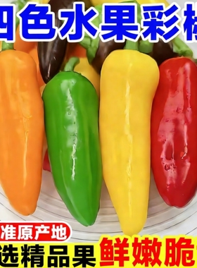 寿光水果彩椒新鲜甜椒迷你四色辣椒生吃五彩灯笼椒黄红绿橙色辣椒