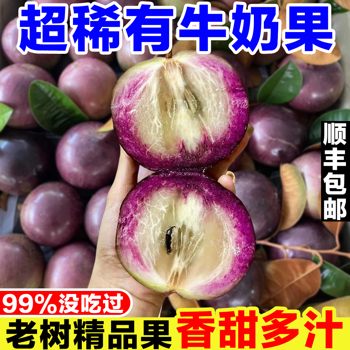 正宗广西牛奶果新鲜当季现摘星苹果黄晶牛奶果罕见稀有热带水果