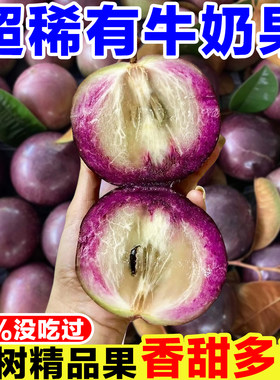正宗广西牛奶果新鲜当季现摘星苹果黄晶牛奶果罕见稀有热带水果