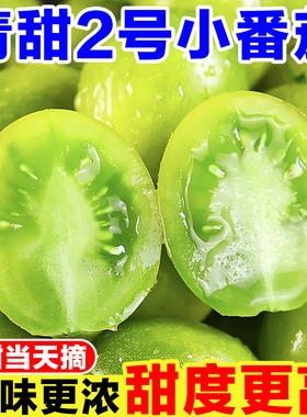青甜2号小番茄绿色千禧圣女果非青口蜜生吃绿宝石青霞水果小柿子