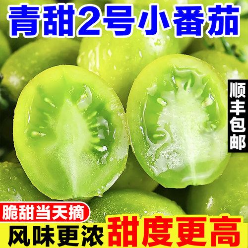 青甜2号小番茄绿色千禧圣女果非青口蜜生吃绿宝石青霞水果小柿子