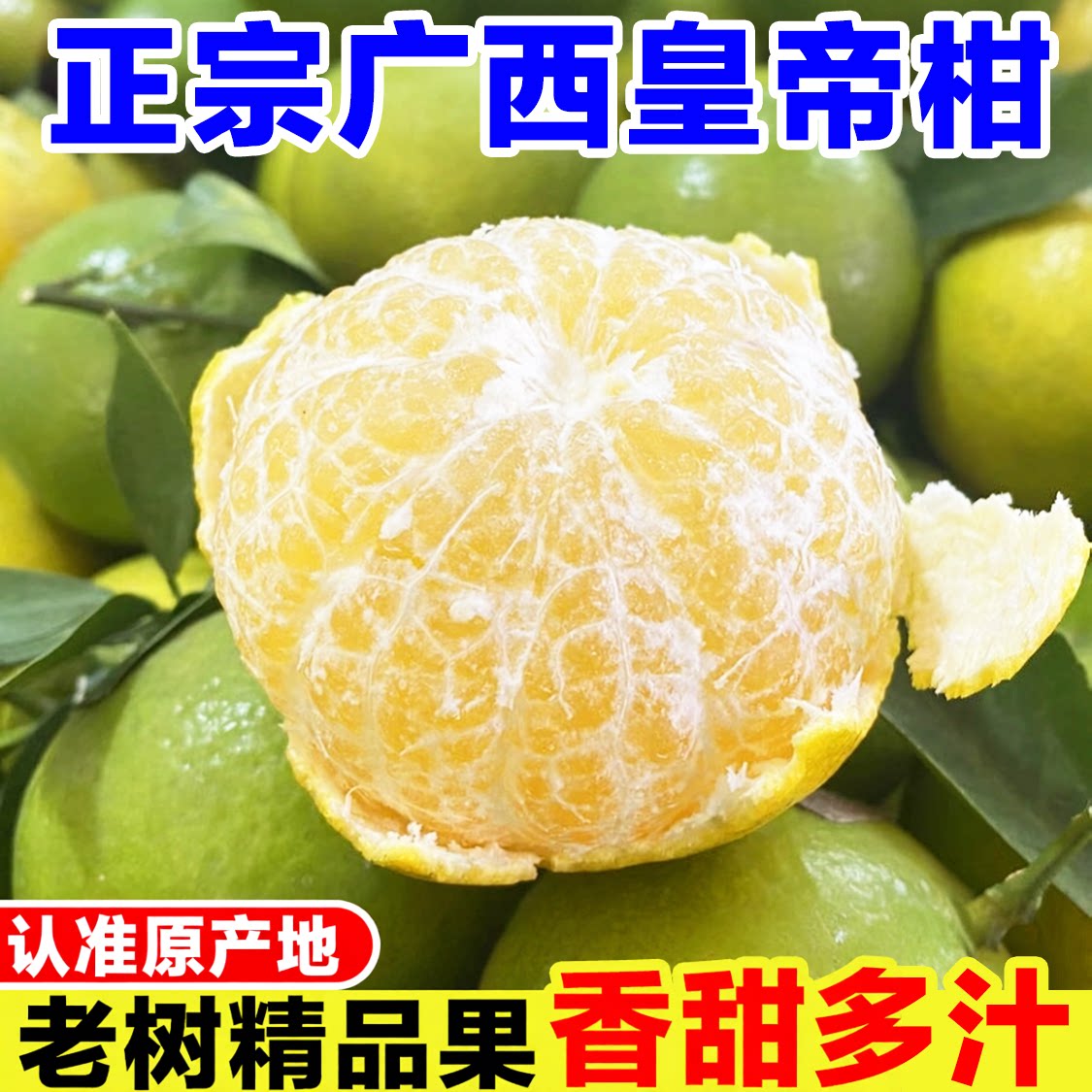 正宗广西皇帝柑新鲜橘子当季孕妇水果现摘老树蜜桔子贡柑甜橘大果
