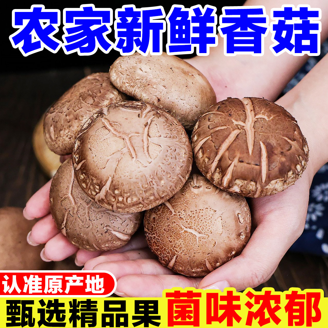 河南西峡湿香菇新鲜现摘农家蘑菇食用菇煲汤炒菜香菇菌菇火锅蔬菜