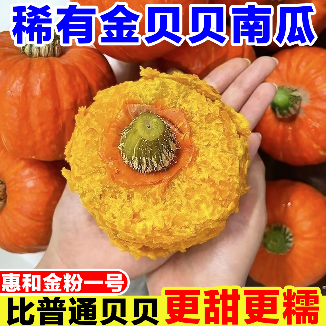 红魔金贝贝南瓜正宗板栗味栗面老南瓜惠和金粉一号红贝贝南瓜金瓜