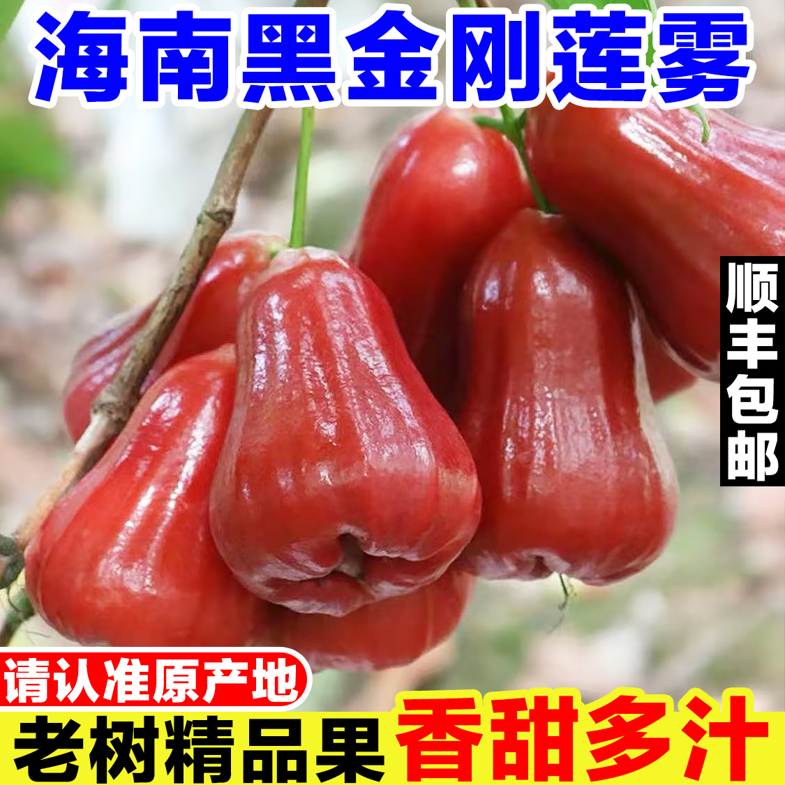 海南黑金刚莲雾新鲜当季孕妇水果现摘红宝石莲雾果洋蒲桃仙女果