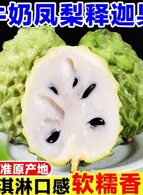 正宗凤梨释迦果新鲜当季孕妇水果现摘牛奶释迦果大目番荔枝佛头果