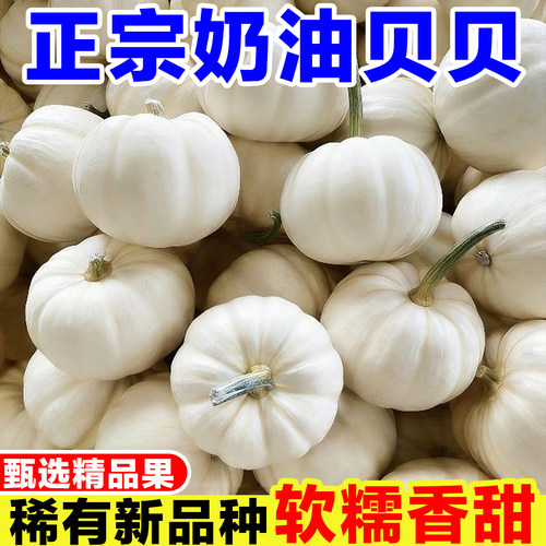 正宗奶油贝贝南瓜惠和一号白色南瓜现摘老南瓜白贝贝南瓜宝宝辅食
