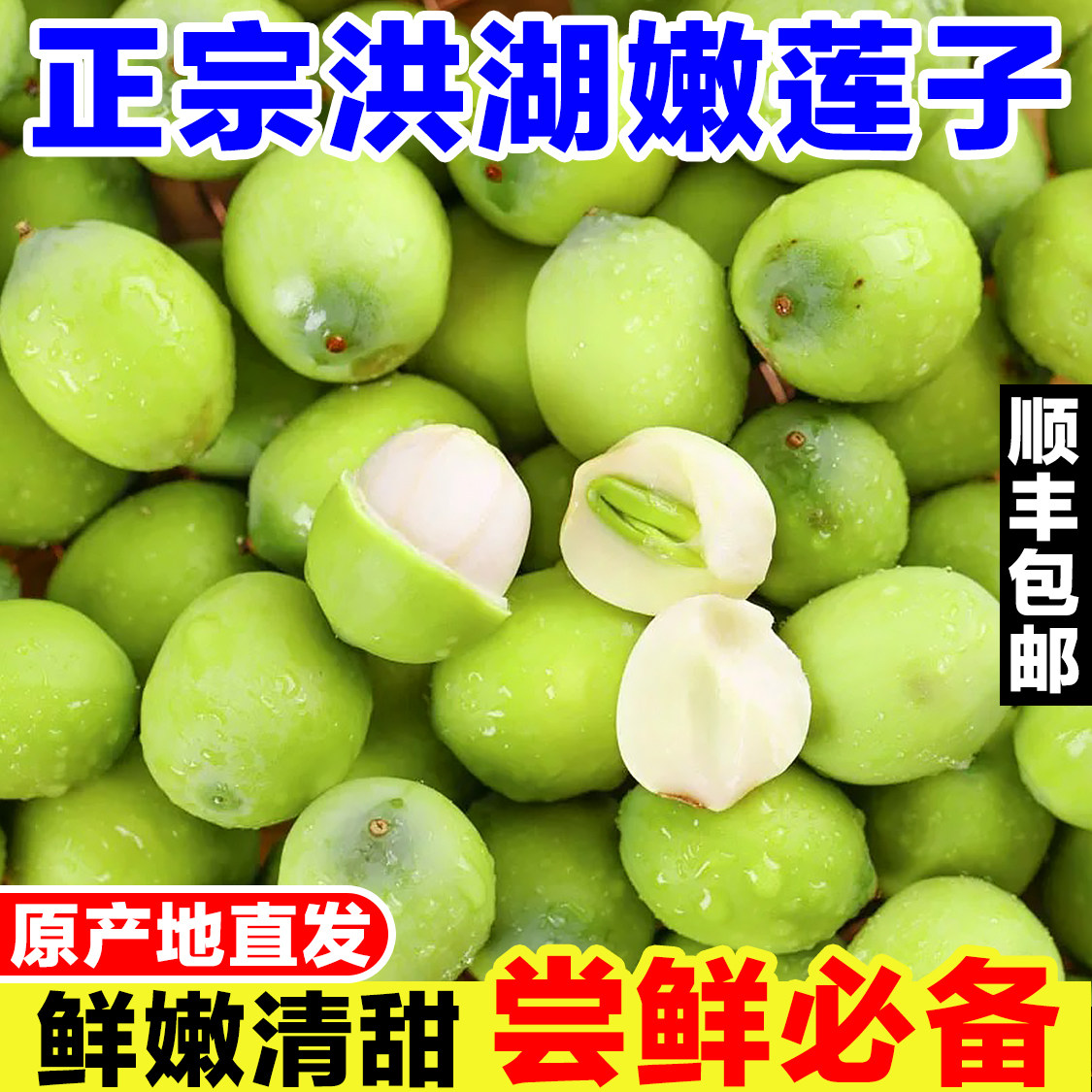 正宗洪湖莲子新鲜当季孕妇水果现摘生吃莲蓬嫩莲子米莲子肉莲子羹