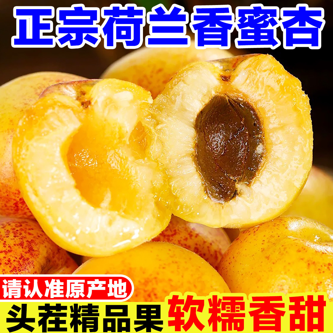 正宗荷兰香蜜杏新鲜杏子当季孕妇水果现摘老树大黄杏红杏甜杏大果