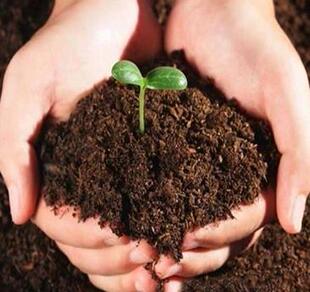 有机营养土泥炭土花肥 轻松透气育苗花土通用培养种花种菜土肥料