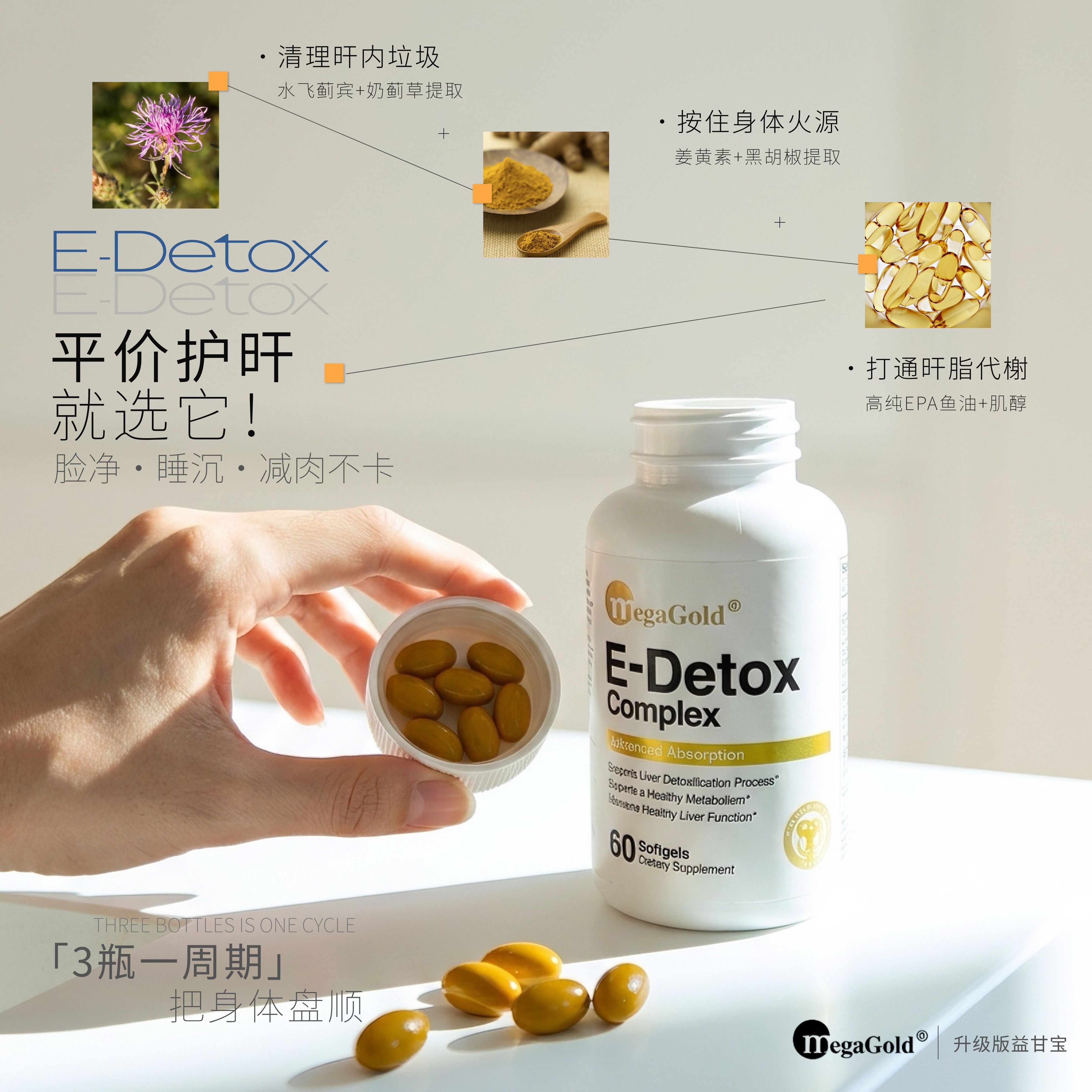 MegaGold奶蓟草水飞蓟宾益甘宝肝