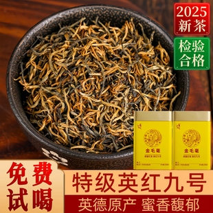 正品英红九号金毛毫特级英德红茶浓香型耐泡春茶2025新茶老树茶