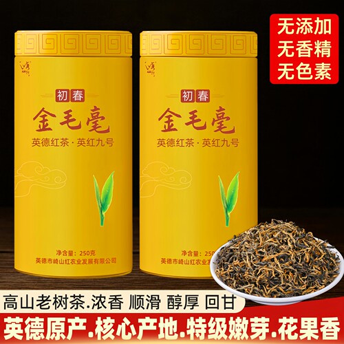 英红九号特级浓香型春茶英德红茶