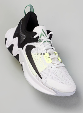 NIKE耐克男子GIANNIS IMMORTALITY 2 EP篮球鞋DM0826-101