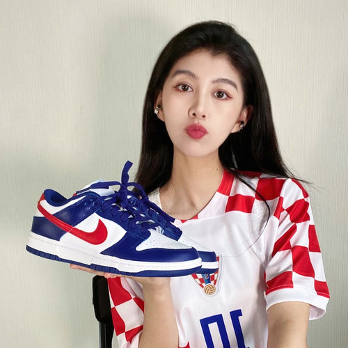 Nike耐克复古白蓝低帮经典DD1503