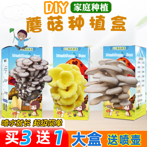 蘑菇盒子好吃好玩喷水就长三送一