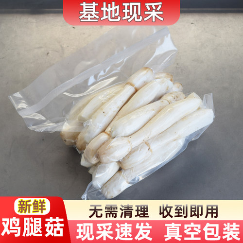 菇馨鸡腿菇新鲜现采真空包装