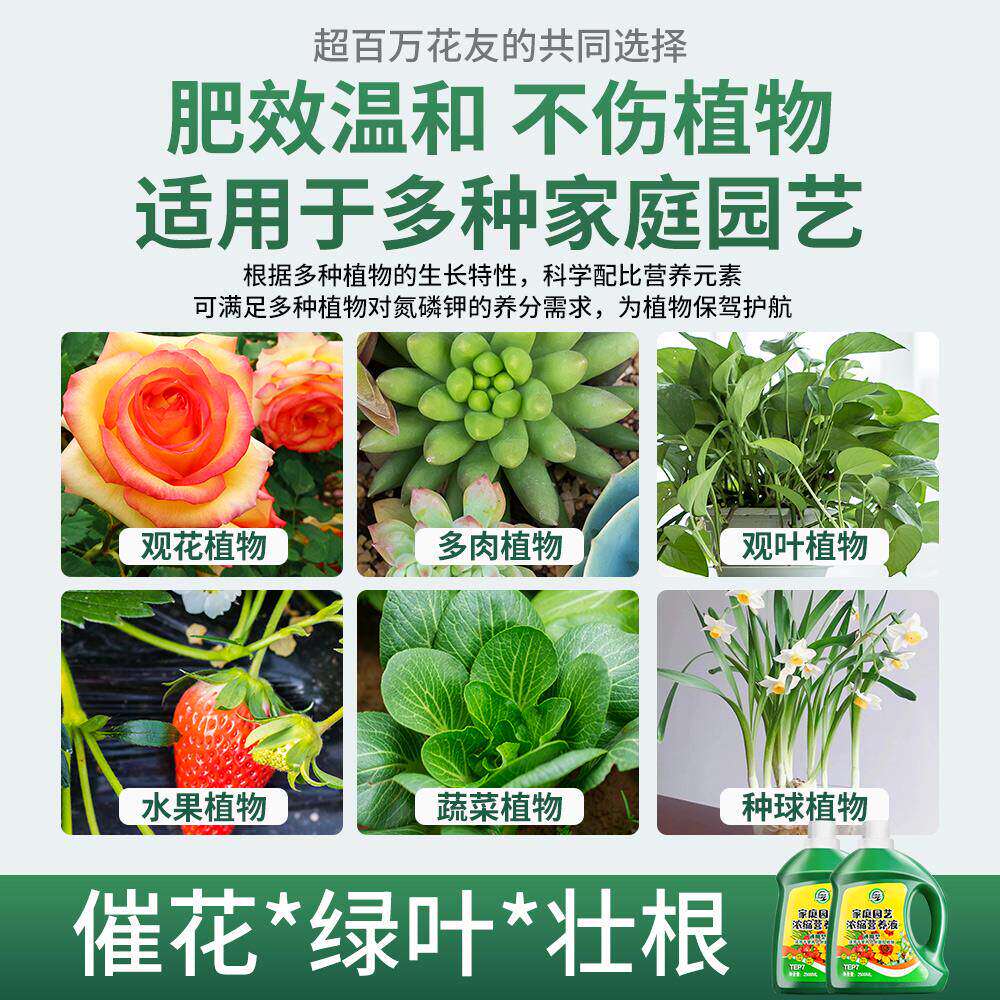 新疆包邮营养液植物通用型花肥发财树富贵竹绿萝水培盆栽家用花卉