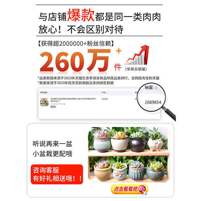 新疆西藏包邮多肉植物室内小盆栽精品玉露肉肉含盆带土大颗株好养