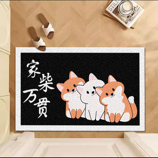 入户门户地垫家用门垫进地毯门口踩脚垫进门防滑垫子丝圈卡通地垫
