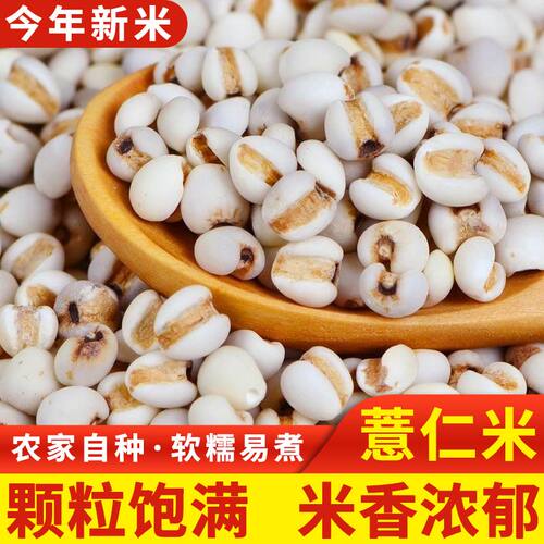 【特价】新货薏米仁新货贵州大薏仁米豆浆可搭配红豆孕妇儿童粗粮