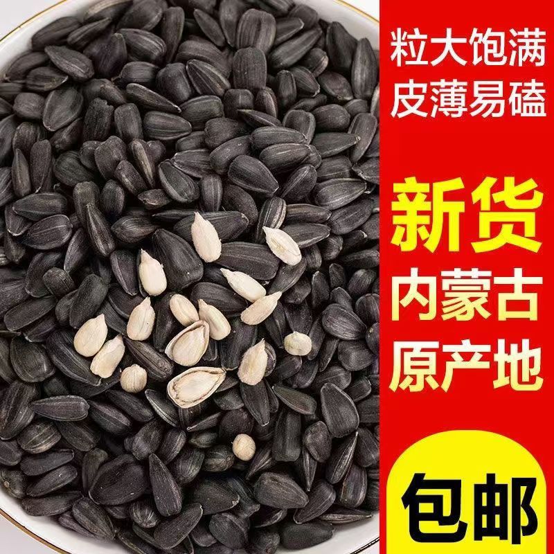 净重黑珍珠瓜子葵花籽原味奶油油葵小油毛嗑装内蒙新货零食向日葵