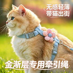 金渐层专用小猫牵引绳猫咪宠物幼猫防挣脱外出背带栓猫绳子工字型