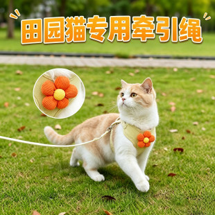 田园猫专用小猫牵引绳猫咪宠物幼猫防挣脱外出背带猫牵引工字链子
