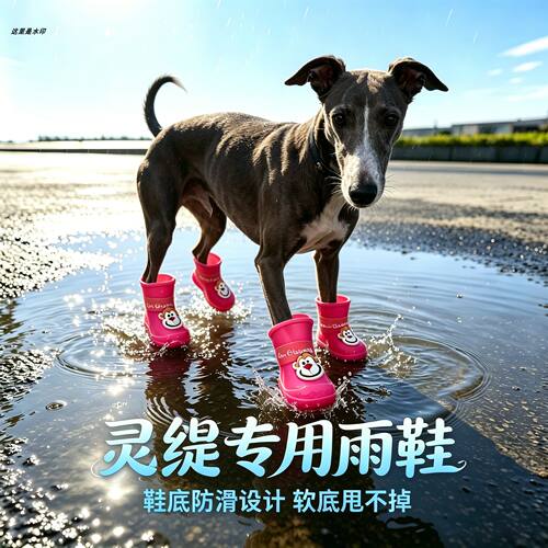 灵缇专用狗狗雨鞋脚套小狗鞋子外出软底甩不掉夏季透气宠物狗雨靴