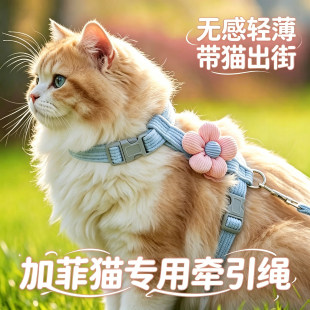 加菲猫专用小猫牵引绳猫咪宠物幼猫防挣脱外出背带猫工字牵引绳子