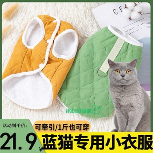 蓝猫英短猫咪专用小衣服带牵引绳小猫卫衣2023新款冬季保暖护肚子