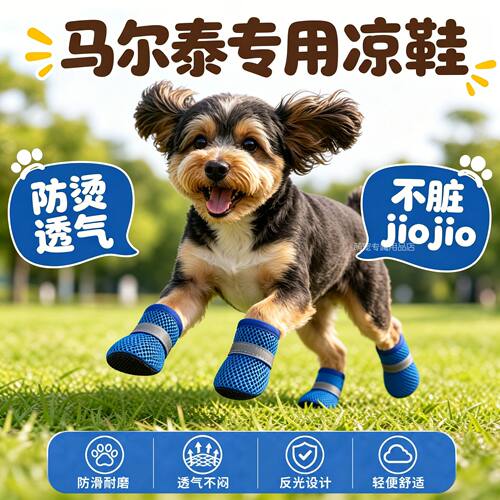 马尔泰专用狗狗凉鞋小狗鞋子夏天透气宠物小型犬狗夏季外出小鞋子