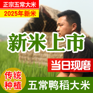 2025年新米东北黑龙江原粮稻花香2号五常大米5kg真空现磨米19266