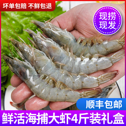 连云港特产新鲜现捕海捕活虾鲜活速冻特大海虾冷冻对虾基围虾4斤 - 封面