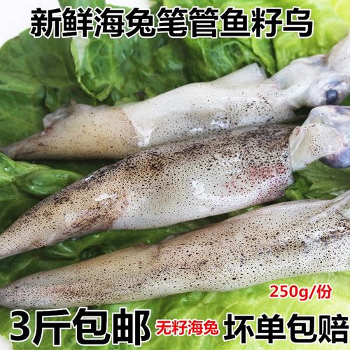 新鲜海鲜笔管鱼海兔3斤包邮净重