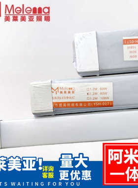 美莱美亚阿米巴支架一体化条形LED高58W102W防虫支架白光1.2米