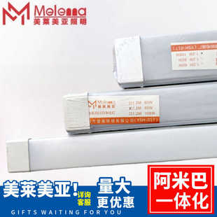 美莱美亚阿米巴支架一体化条形LED高58W102W防虫支架白光1.2米