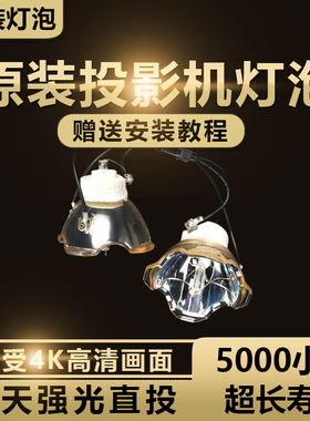 NEC  VT676K+/VT695+/VT580G/VT490+/VT670/VT676/VT491+/VT595+/VT590+/VT75 VT85 VT70LP投影机仪灯泡