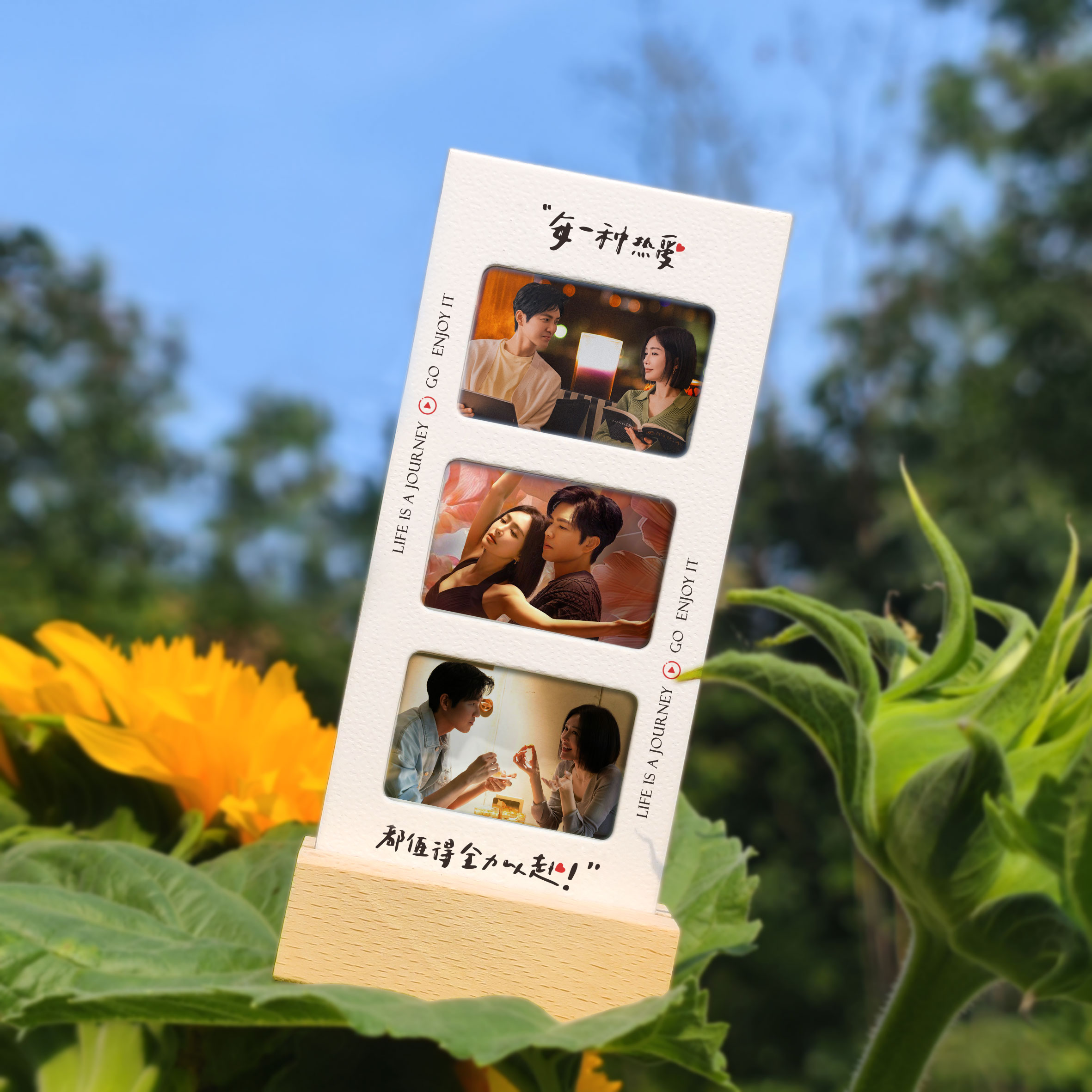 亦舞之城周边胶片书签立牌照片