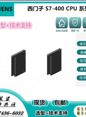 6ES7421/7422/7431/7432-1BL01/BL/HF00/0HH00-0AA0/B0S7-400模块