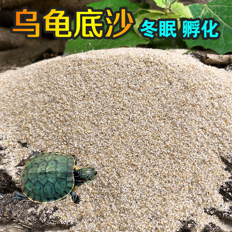 乌龟沙子细沙龟沙产卵冬眠孵化下蛋爬宠鱼缸底砂造景水草装饰沙子