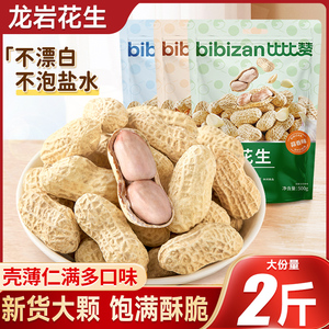 比比赞龙岩花生蒜香五香带壳炒货花生米零食休闲食品小吃散装批发